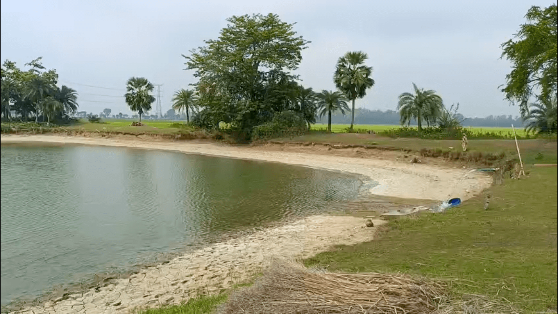 Bogura, Bangladesh fishery — Rootvest pilot cohort